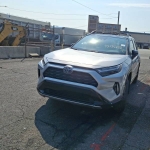 TOYOTA Rav4 2024